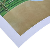 Photo Rag Fine Art Paper Printing - Germotte